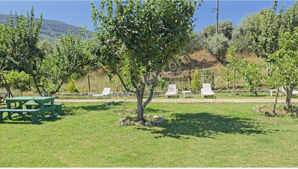 Dünyanın Merkezi İzmir Şirince'de - Görsel 30