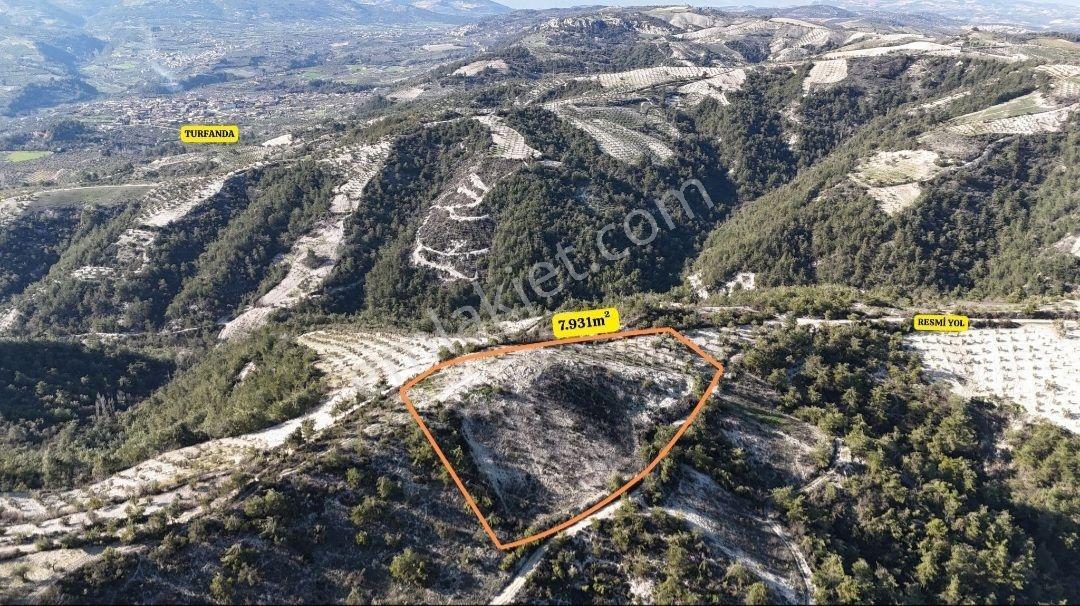 Dokuzdalda 7.9 Dönüm 2 Cephesi Yola Sıfır Parsel - Görsel 10