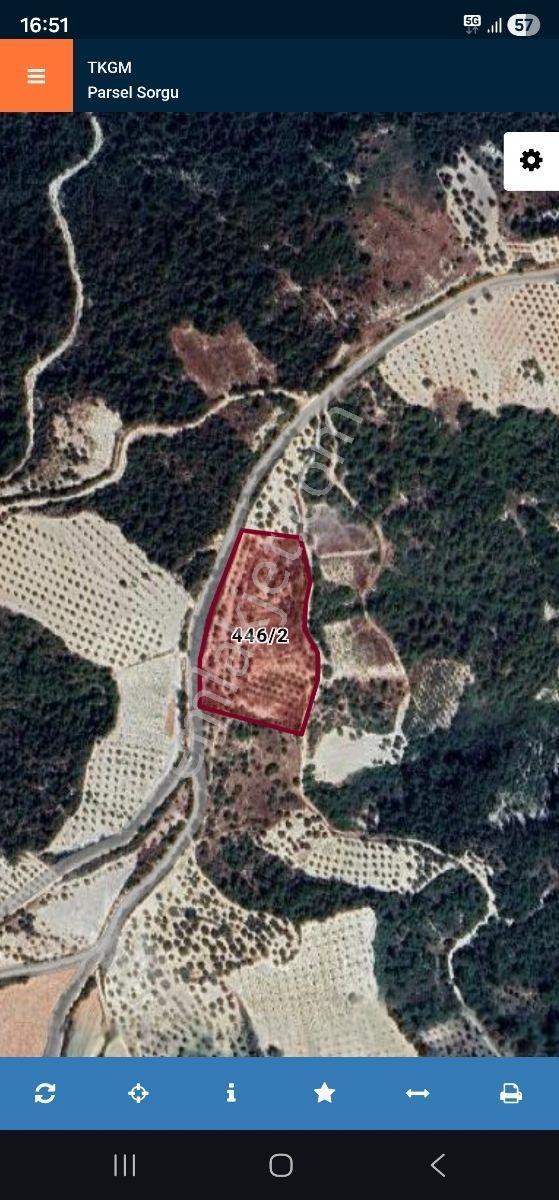 Dokuzdalda 7.9 Dönüm 2 Cephesi Yola Sıfır Parsel - Görsel 9