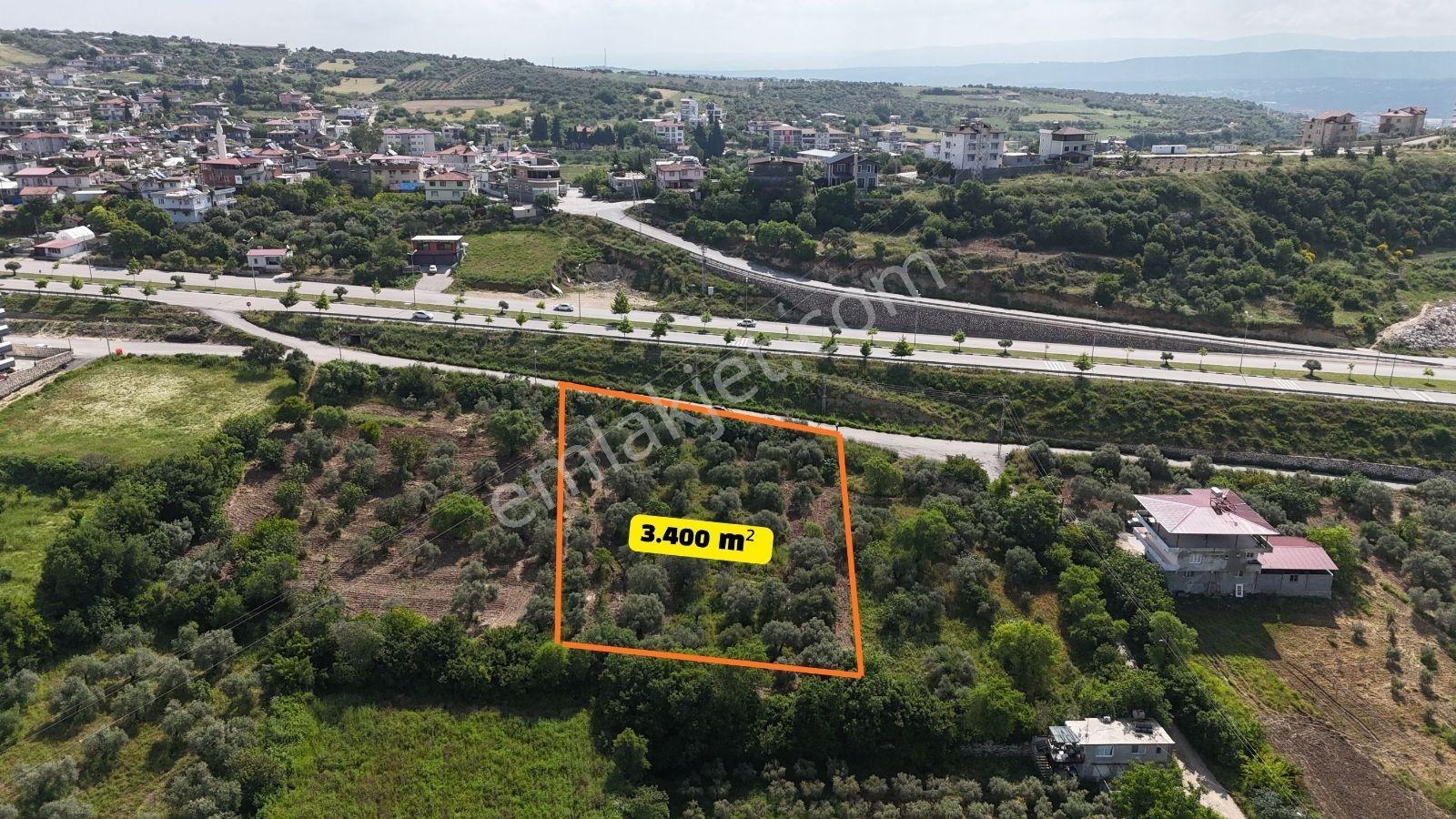 Altınözü Fatiklide Yola Sıfır Düz 3.4 Dönüm Parsel - Görsel 10