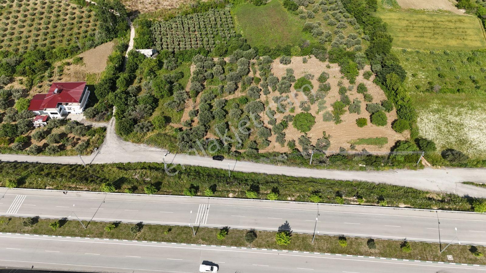 Altınözü Fatiklide Yola Sıfır Düz 3.4 Dönüm Parsel - Görsel 3