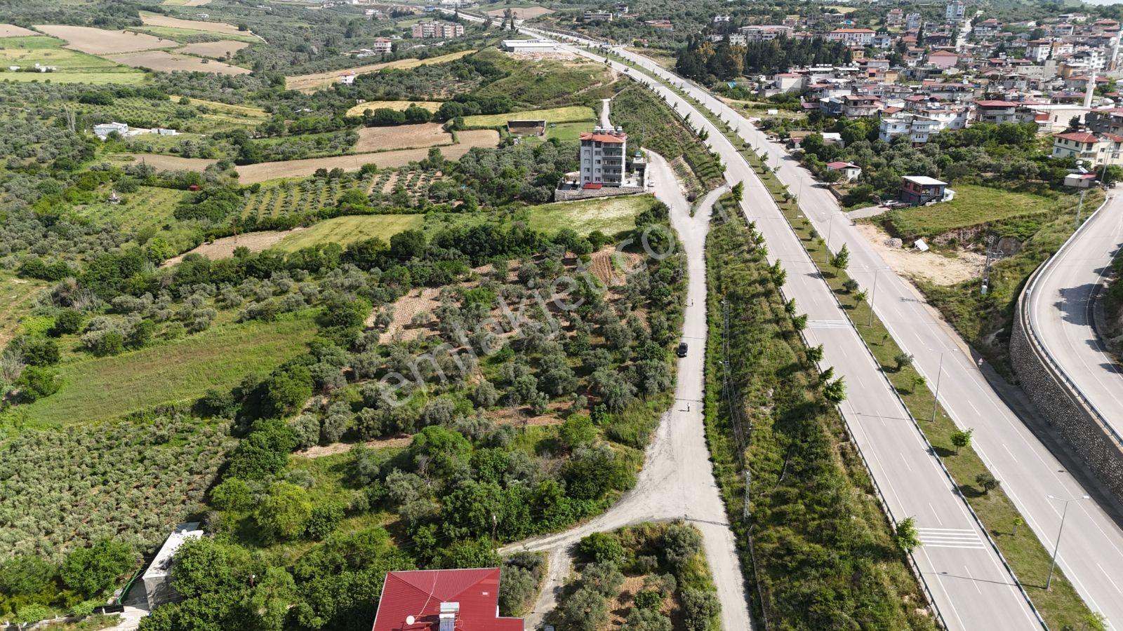 Altınözü Fatiklide Yola Sıfır Düz 3.4 Dönüm Parsel - Görsel 14