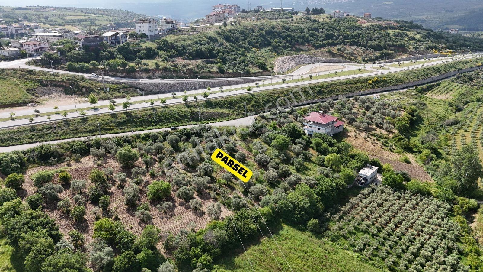 Altınözü Fatiklide Yola Sıfır Düz 3.4 Dönüm Parsel - Görsel 12