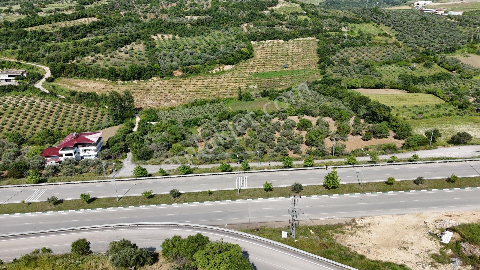 Altınözü Fatiklide Yola Sıfır Düz 3.4 Dönüm Parsel - Görsel 16