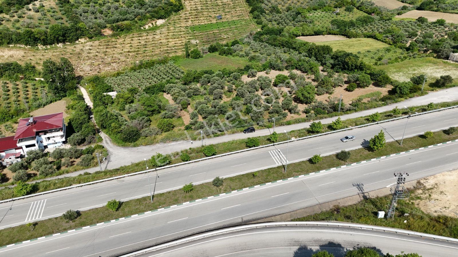 Altınözü Fatiklide Yola Sıfır Düz 3.4 Dönüm Parsel - Görsel 15