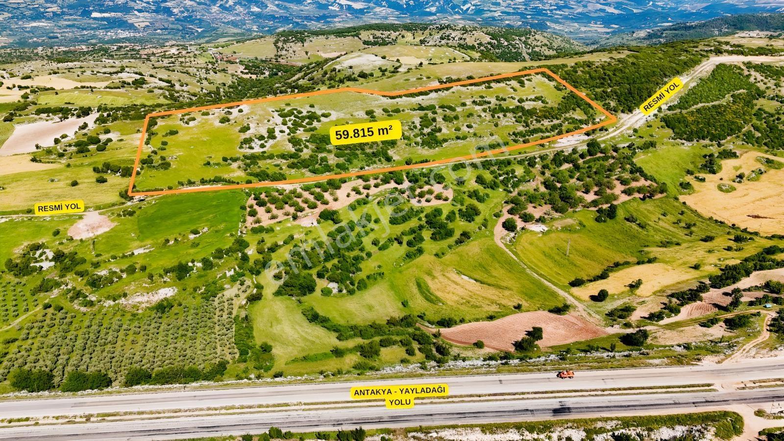 Şenköyde Yola Sıfır Yayla Sitesi Yakınında 59.8 Dönüm Parsel - Görsel 8