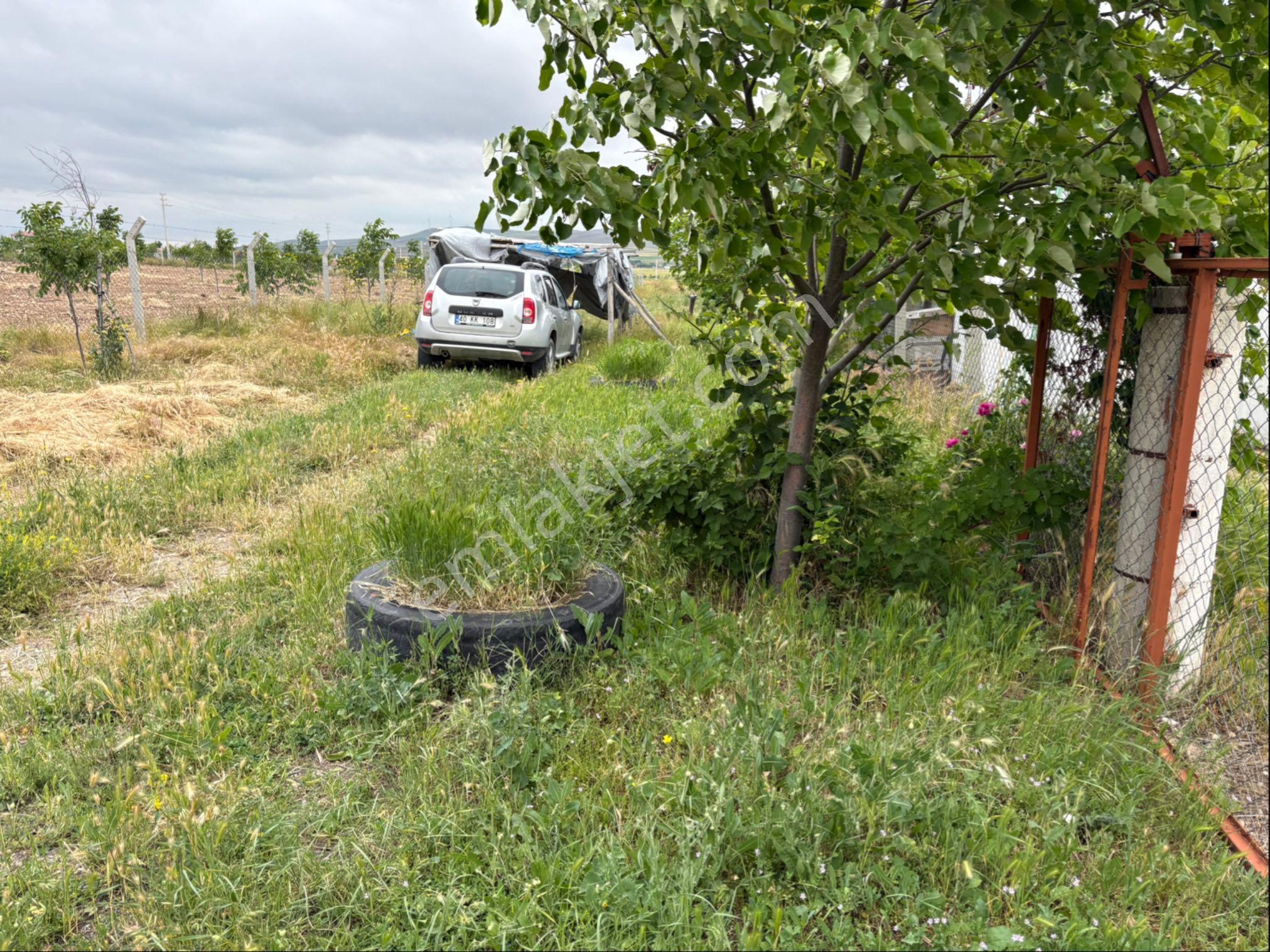 Harika Bir Cevizlik Beş Dönüm Arsa Üzerine Kurulmuş - Görsel 3