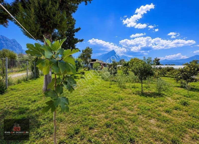 Antalya Çakırlar Mah.içinde 1+1 Müstakil Ev Olan Satılık Tarla - Görsel 7