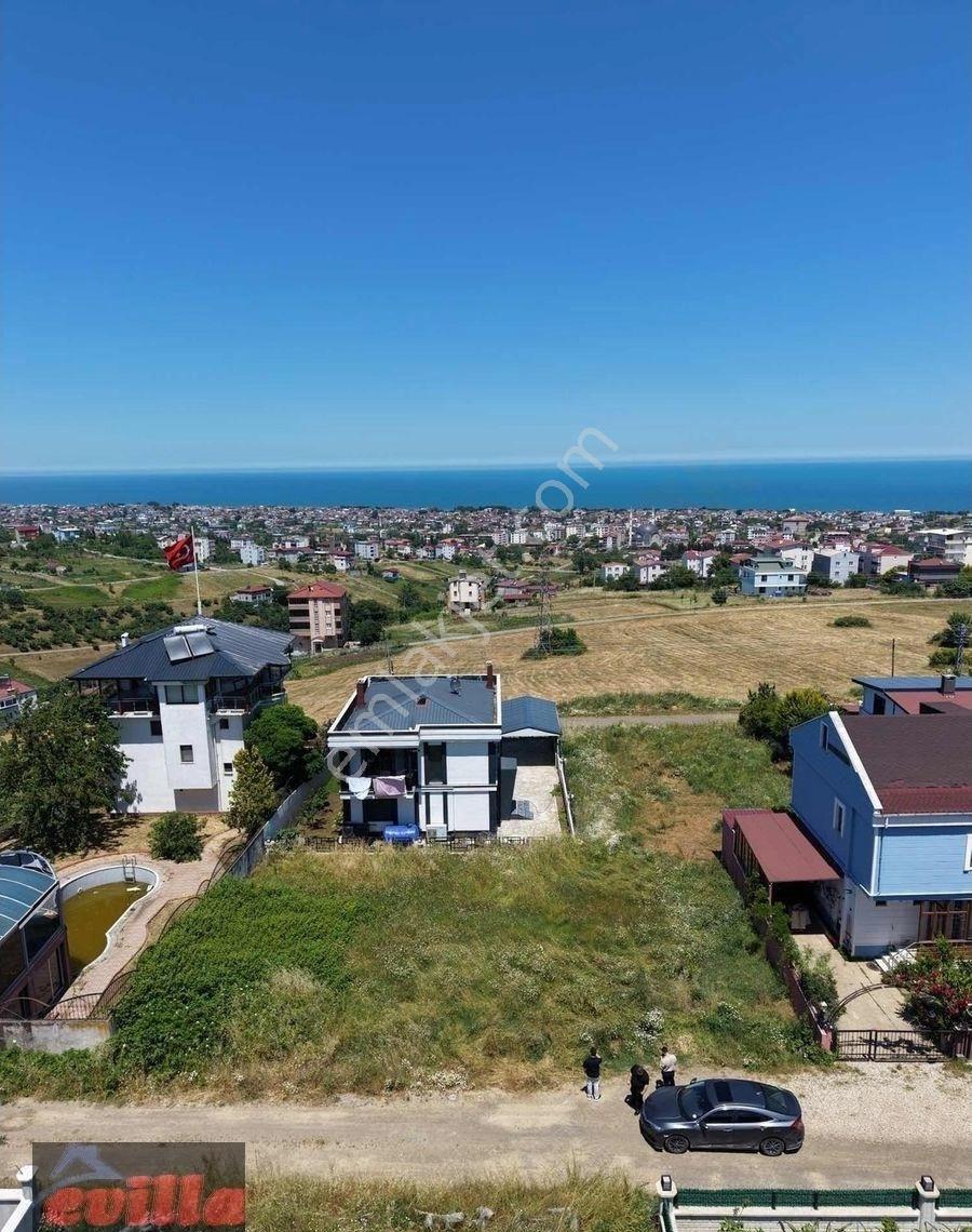 Çatalçam'da Deniz Manzaralı 385 M2 Satılık Arsa - Görsel 15