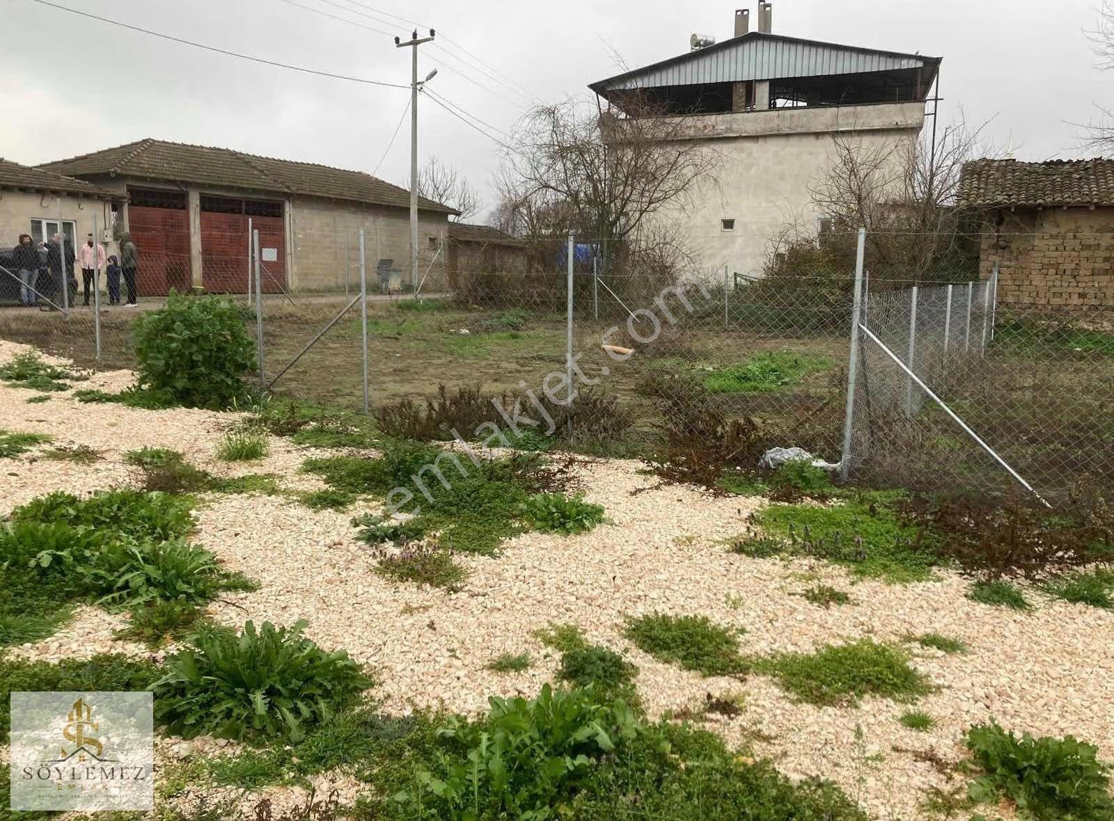 M.kemalpaşa Melik Köyde 223 M2 İmarlı Köy İçi Arsa - Görsel 5