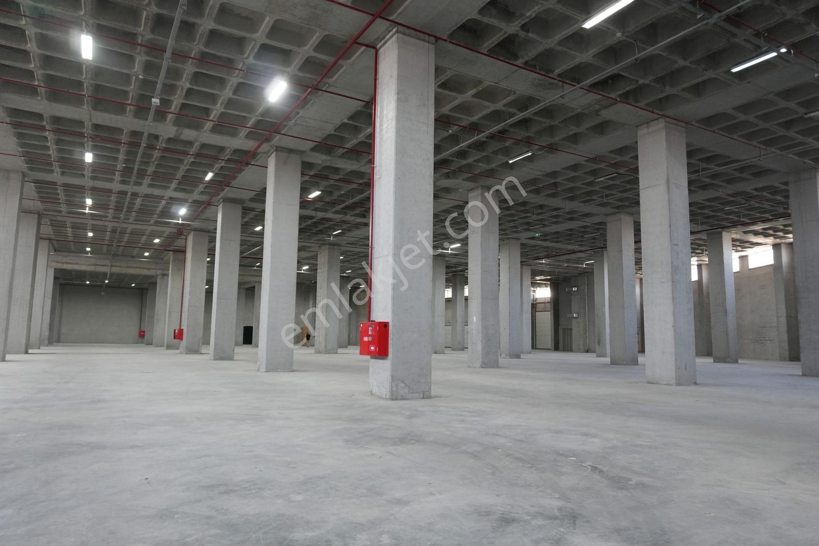Hadımköy Ömerli Komple Veya Kat Kat Kiralık Depo 10.350m² 9rampa - Görsel 18