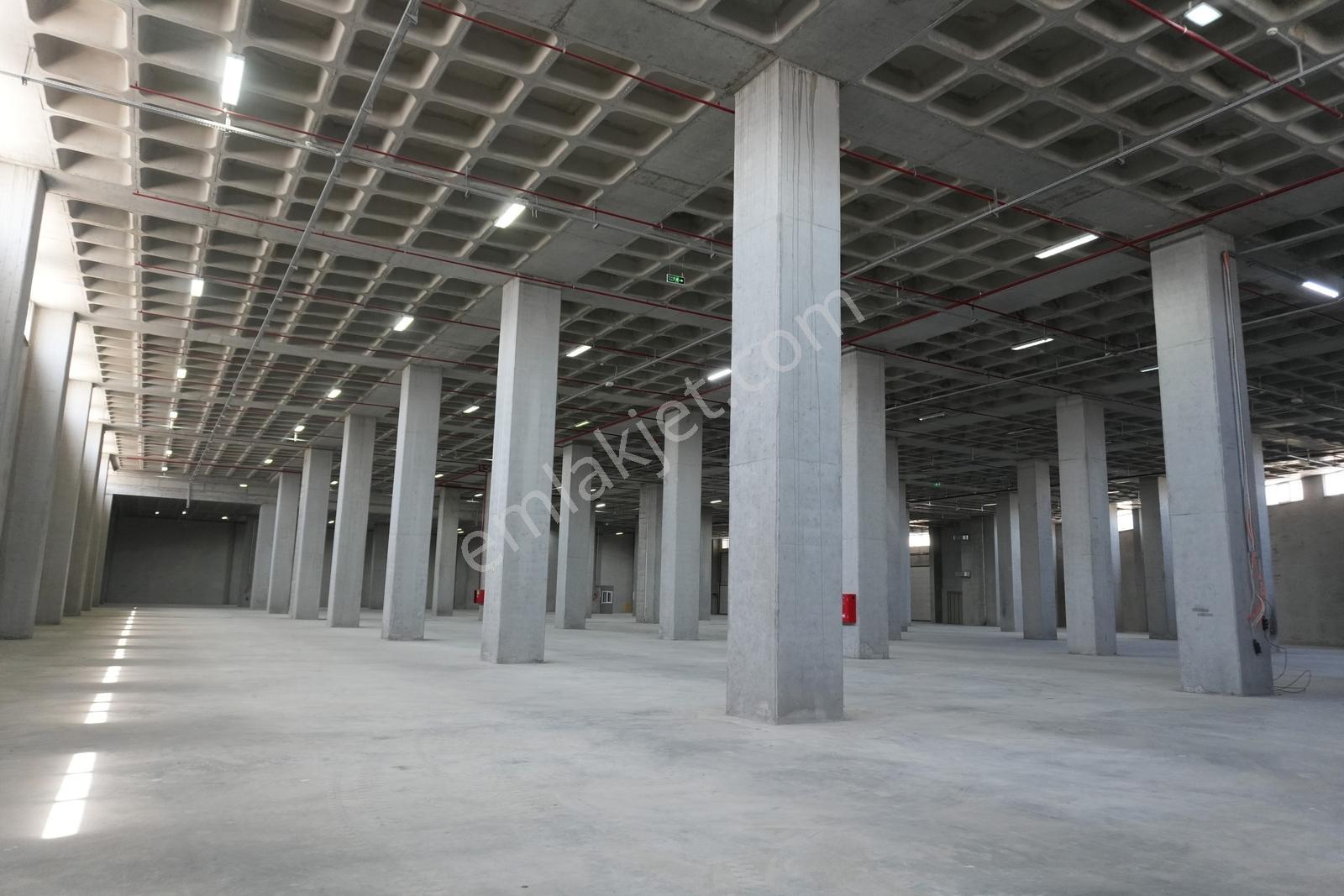 Hadımköy Ömerli Komple Veya Kat Kat Kiralık Depo 10.350m² 9rampa - Görsel 3