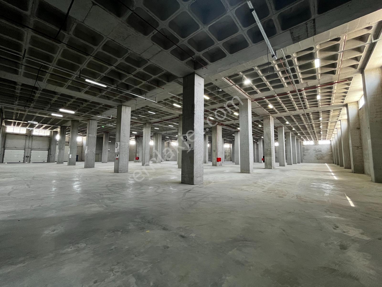Hadımköy Ömerli Komple Veya Kat Kat Kiralık Depo 10.350m² 9rampa - Görsel 8