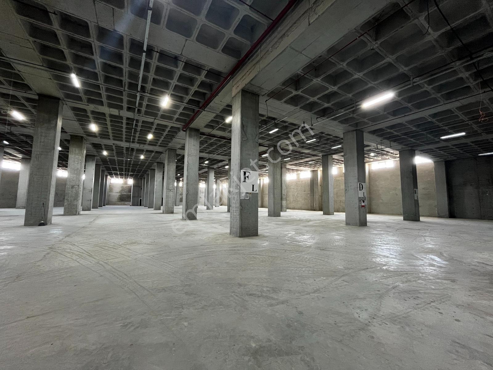 Hadımköy Ömerli Komple Veya Kat Kat Kiralık Depo 17300m² 13rampa - Görsel 20