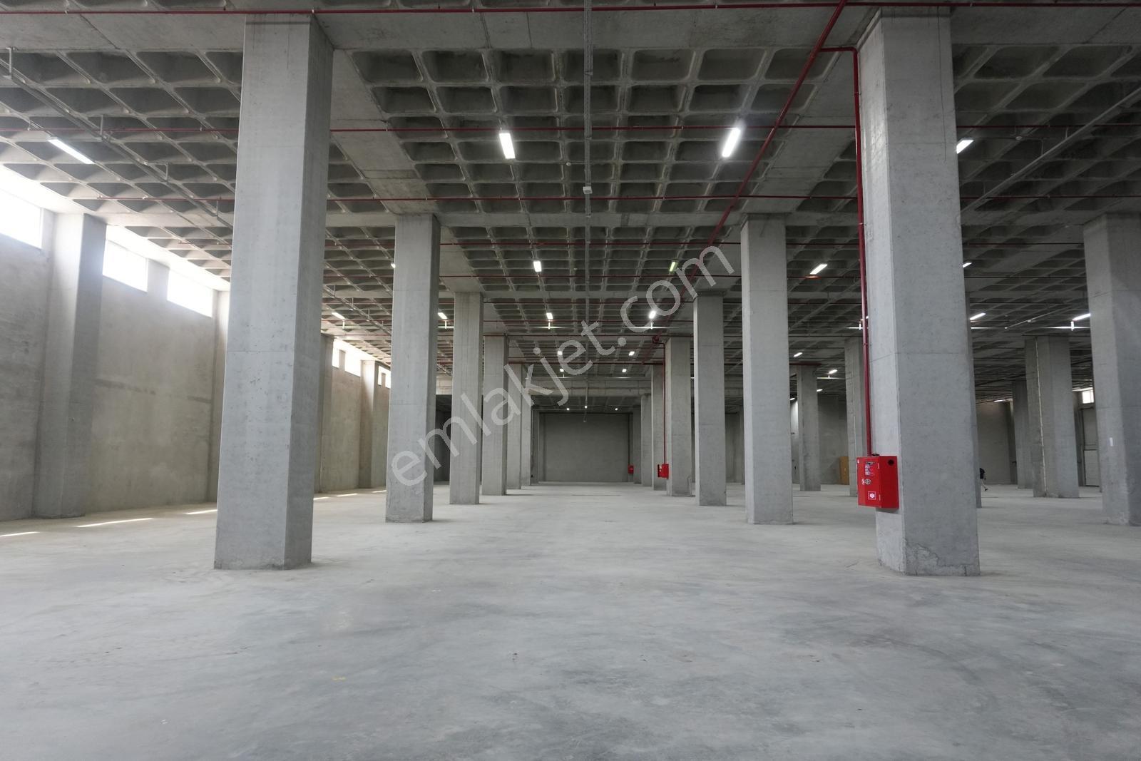 Hadımköy Ömerli Komple Veya Kat Kat Kiralık Depo 17300m² 13rampa - Görsel 23