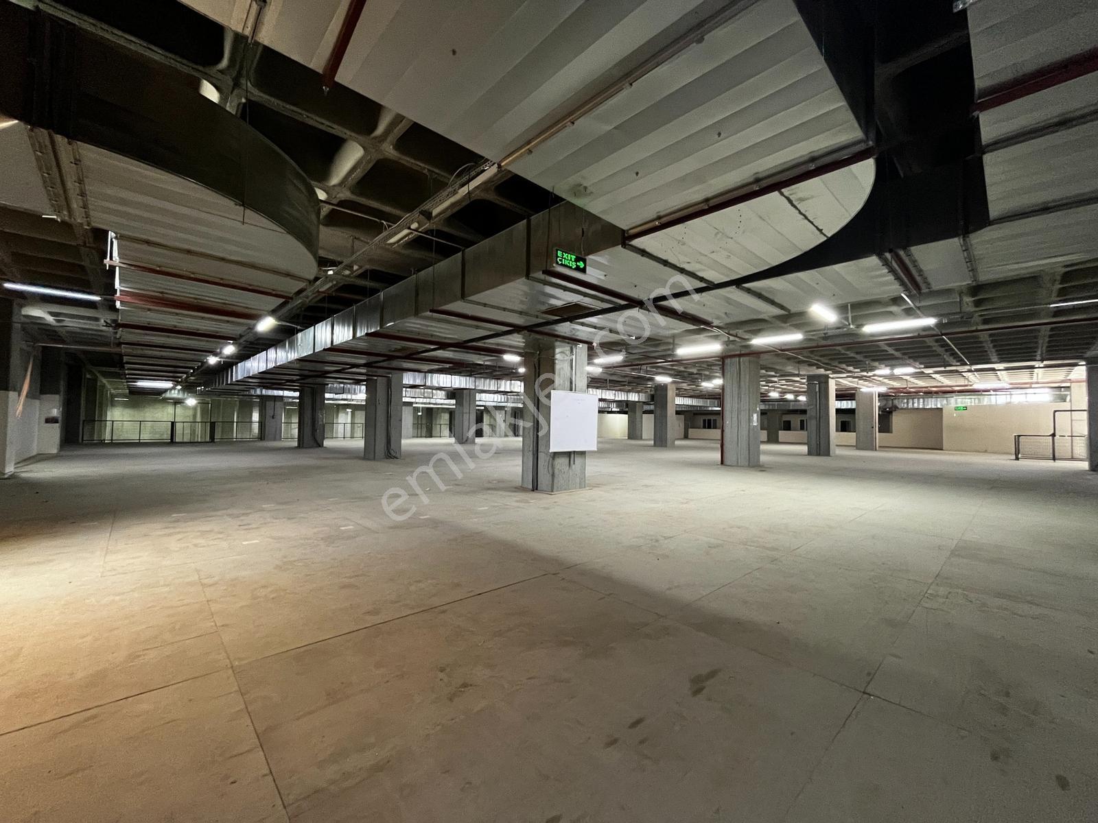 Hadımköy Ömerli Komple Veya Kat Kat Kiralık Depo 17300m² 13rampa - Görsel 8