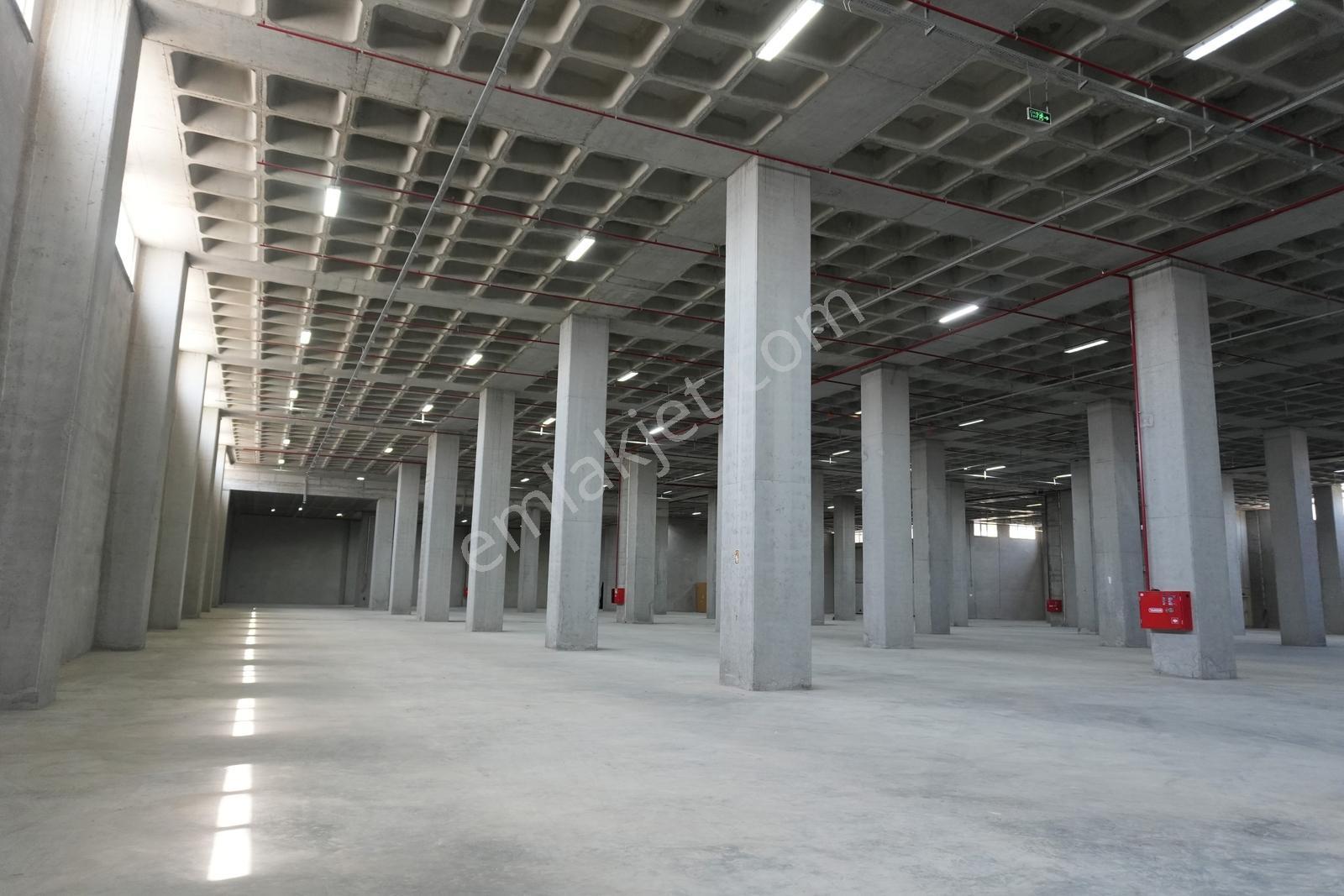Hadımköy Ömerli Komple Veya Kat Kat Kiralık Depo 17300m² 13rampa - Görsel 24