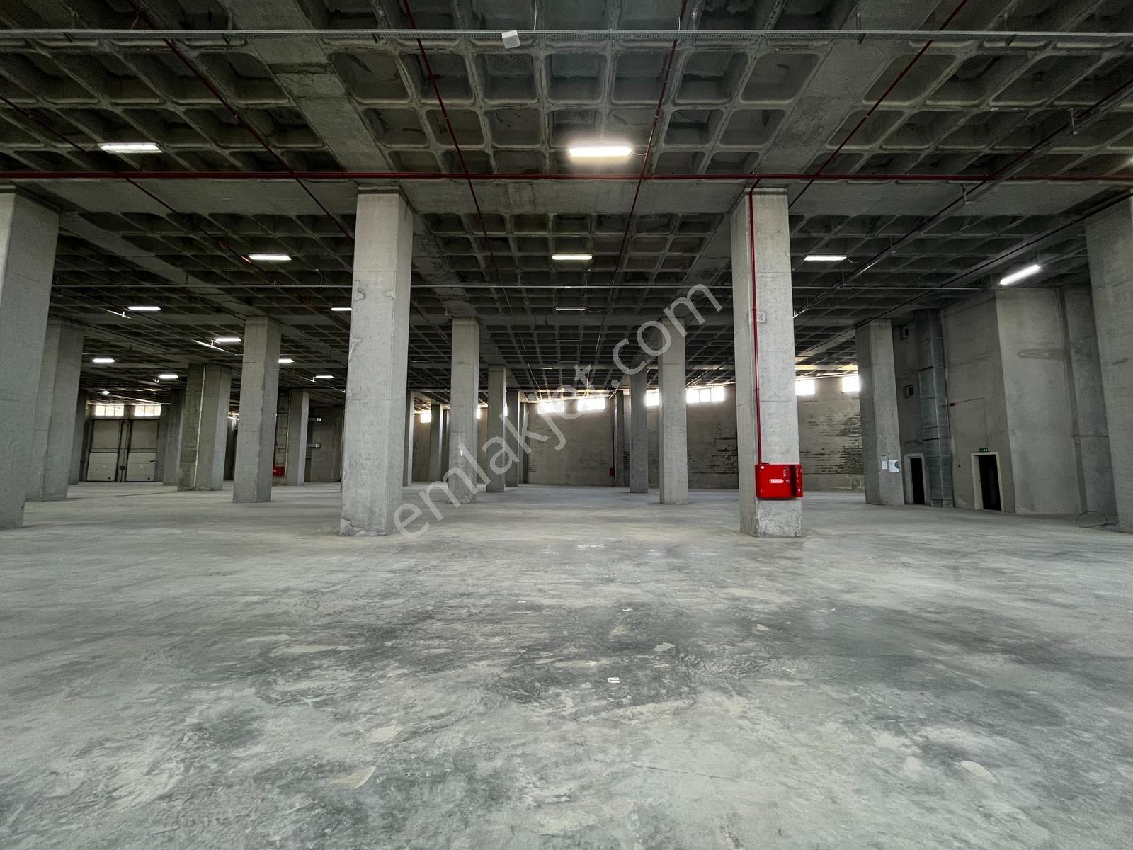 Hadımköy Ömerli Komple Veya Kat Kat Kiralık Depo 14.902m² 8rampa - Görsel 6