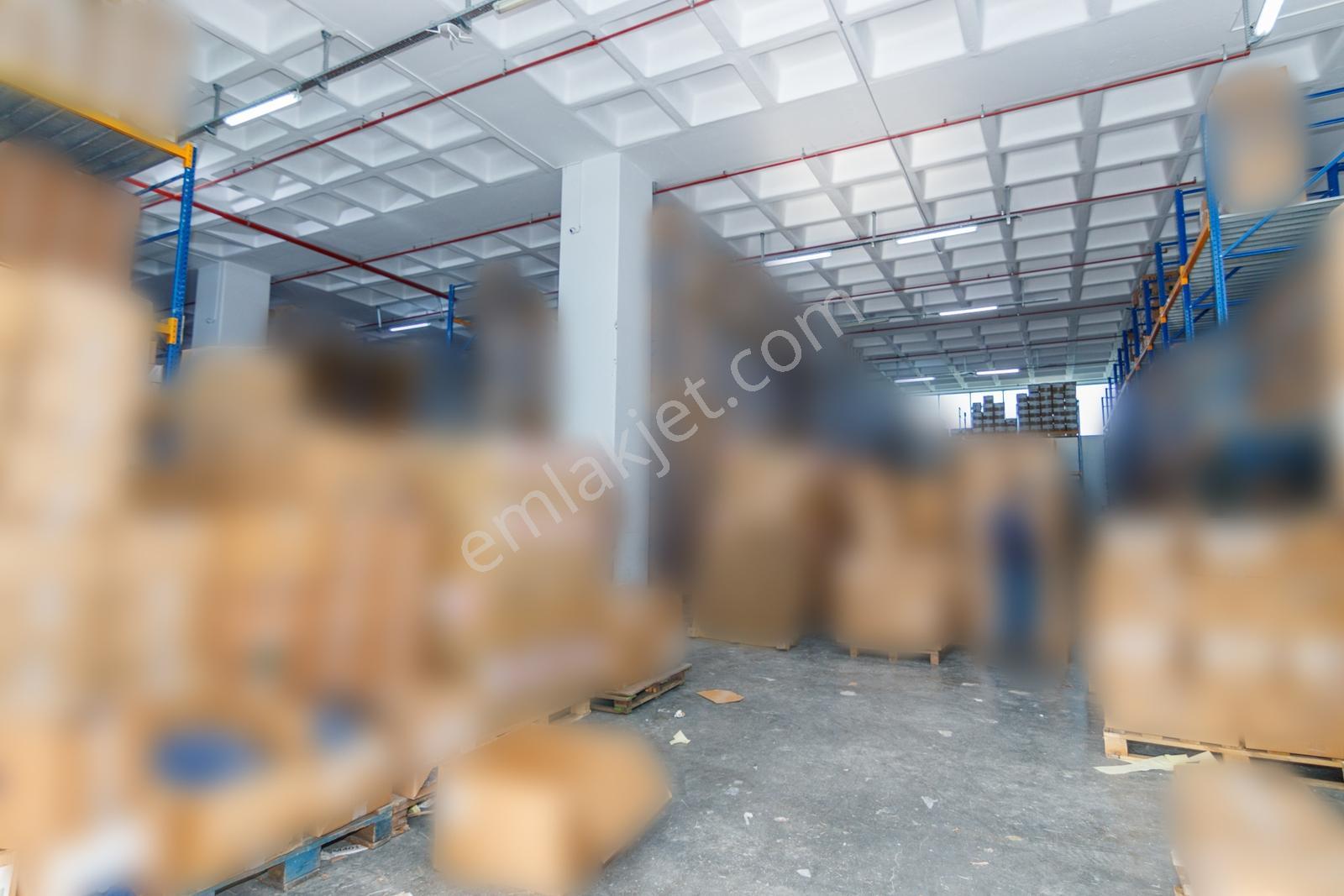 Esenyurt Kıraç'ta Prestijli Müstakil Kiralık Fabrika 5.000 M2 - Görsel 5