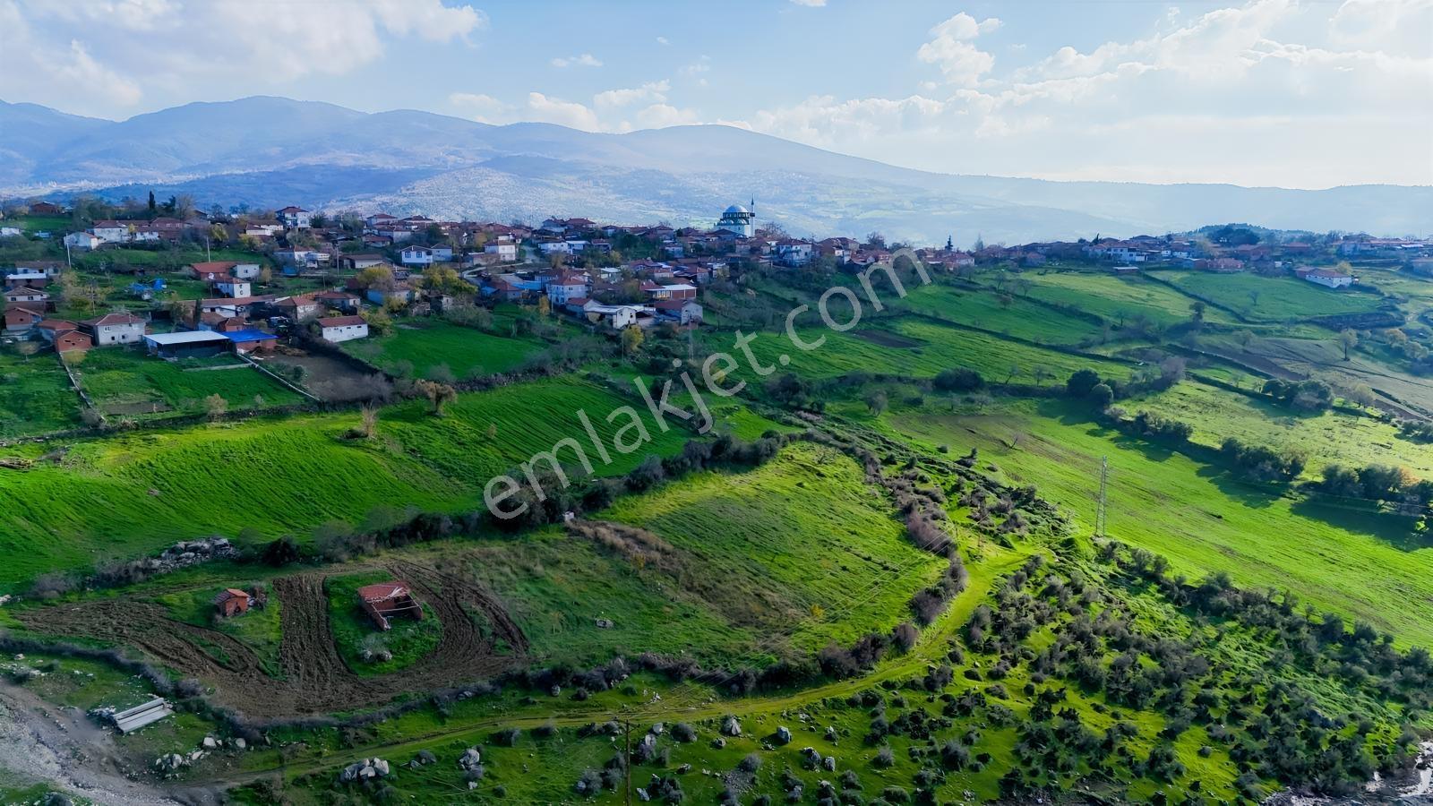 Kepsut İsaalan'da Satılık 5 Adet İmmarrlı Arrsa - Görsel 28