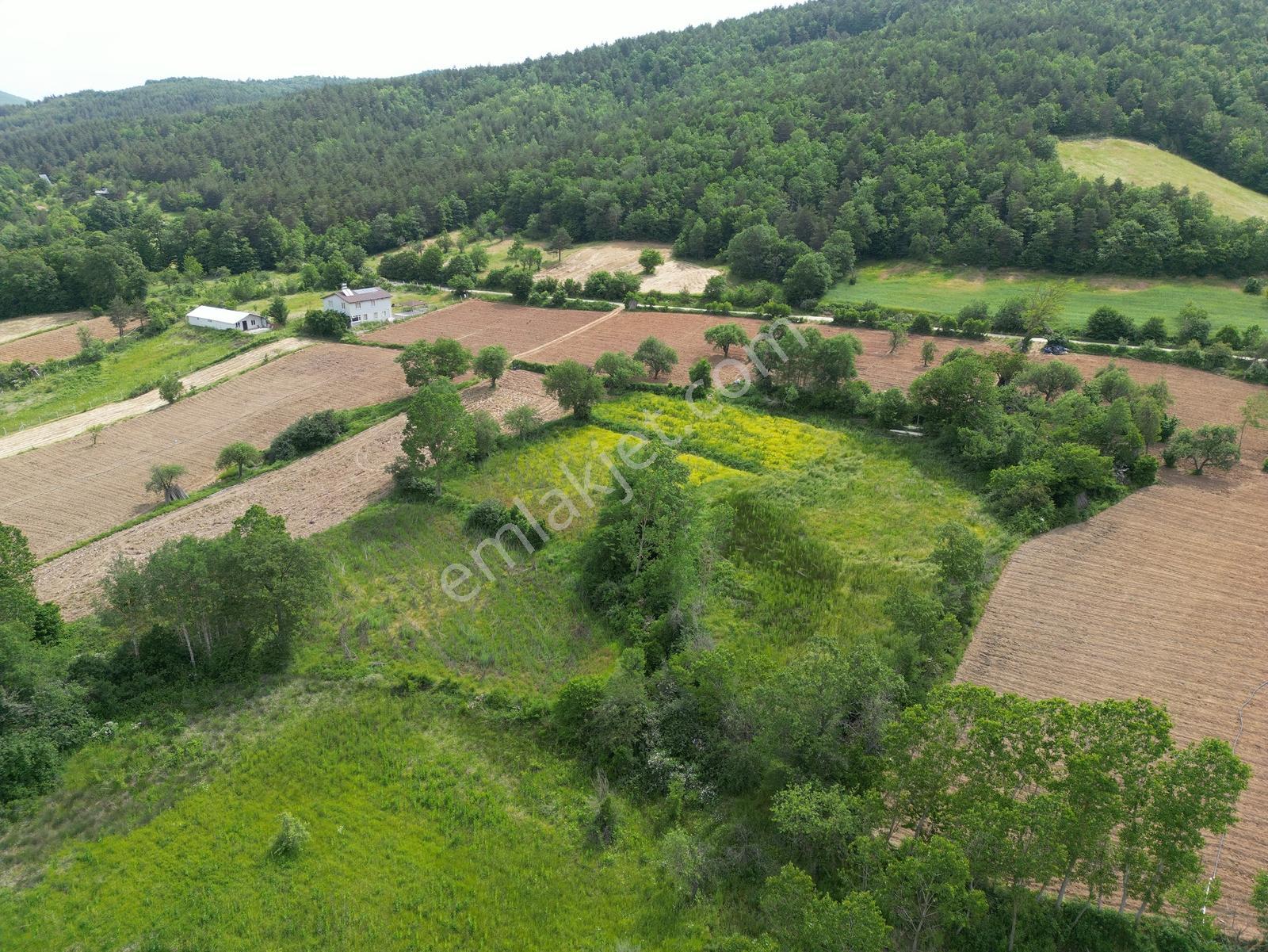 2m Yatırımdan İznik Sansarak'ta Doğa İçinde Bahçe - Görsel 14