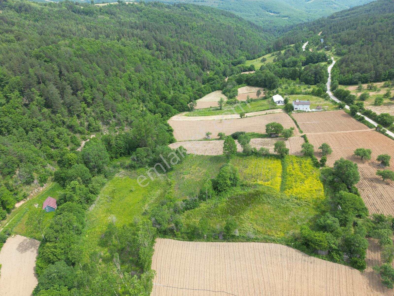 2m Yatırımdan İznik Sansarak'ta Doğa İçinde Bahçe - Görsel 21