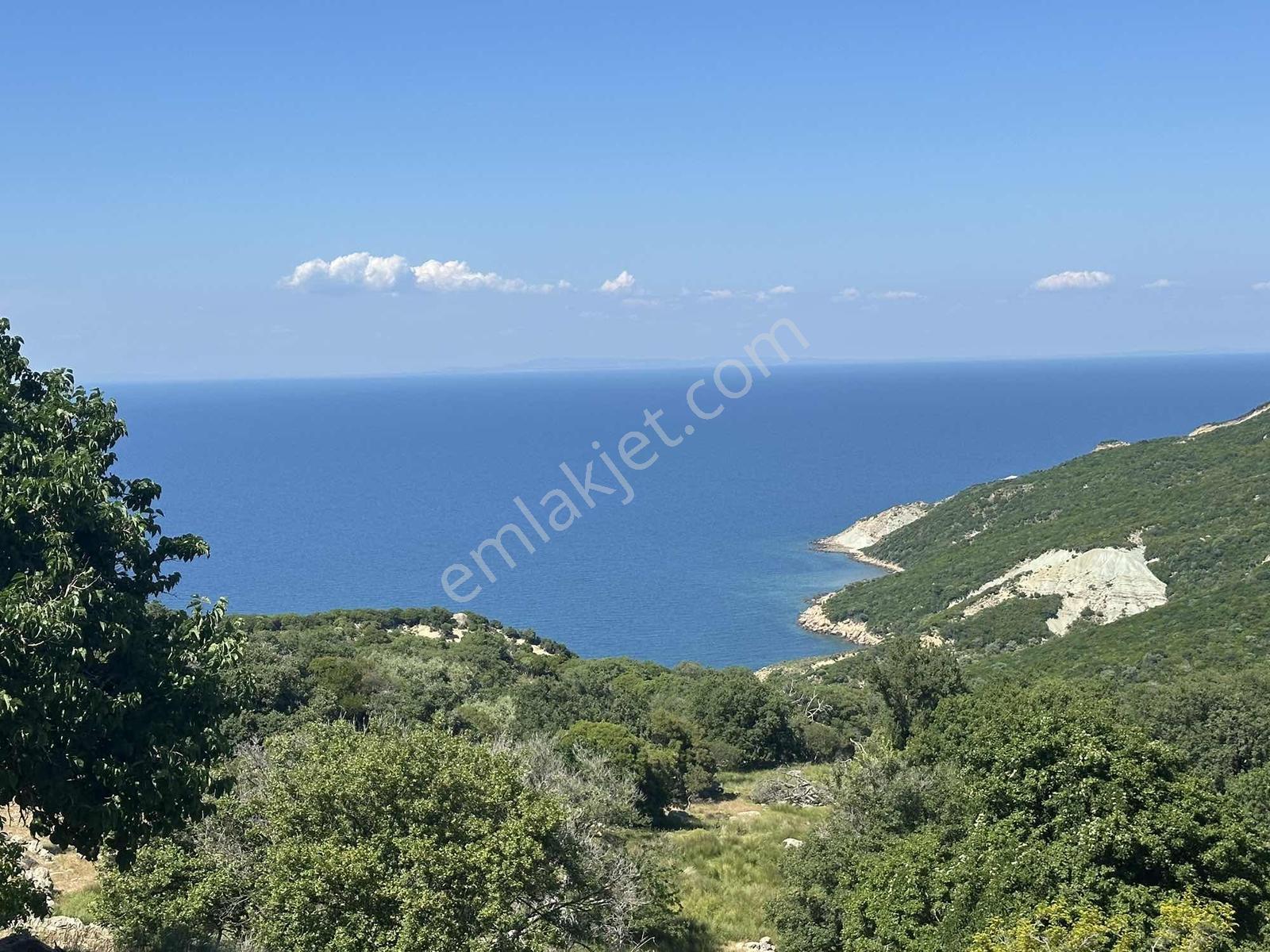 İmroz Emlak'tan Tepeköy'de 758 M2 Deniz Manzaralı Bahçe - Görsel 16