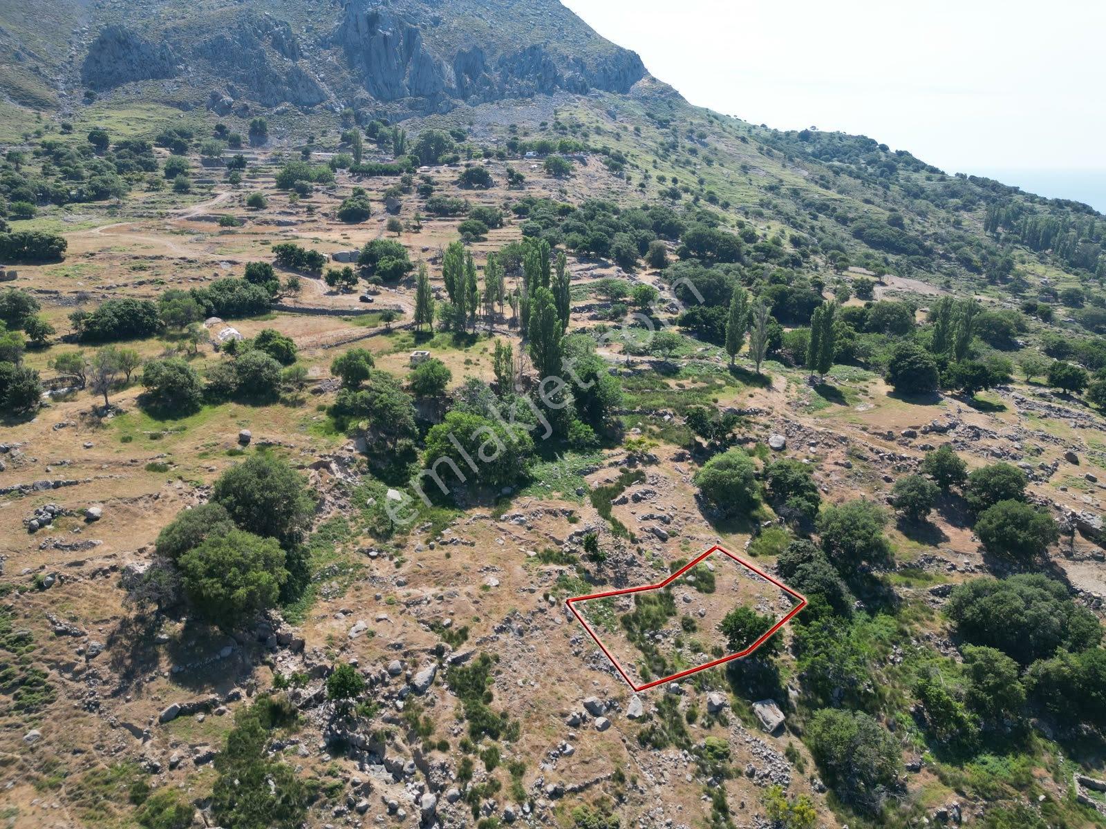 İmroz Emlak'tan Tepeköy'de 758 M2 Deniz Manzaralı Bahçe - Görsel 14