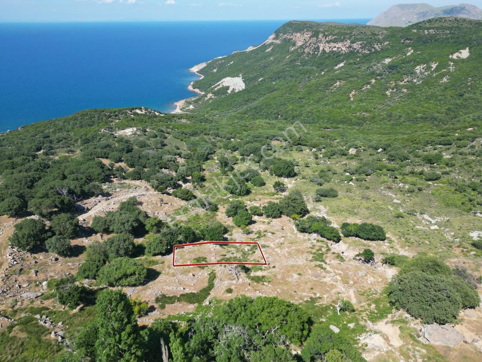 İmroz Emlak'tan Tepeköy'de 758 M2 Deniz Manzaralı Bahçe - Görsel 7