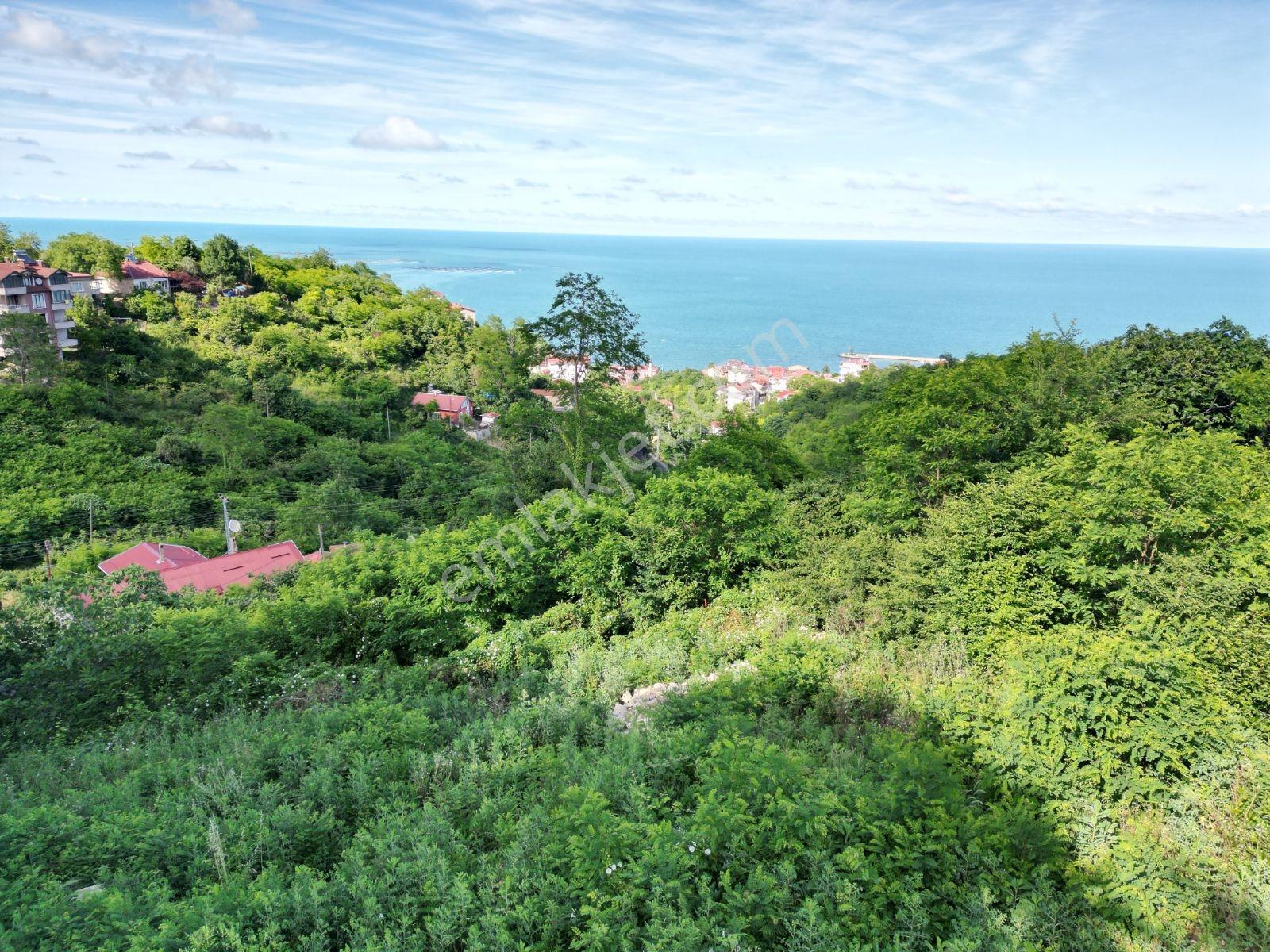 Muhteşem Deniz Manzaralı İmarlı 610 M² Arsa - Görsel 2