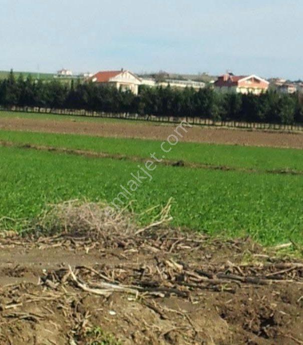 Yeniçiftlikte 62 Dönüm Deniz Manzaralı Yer - Görsel 3