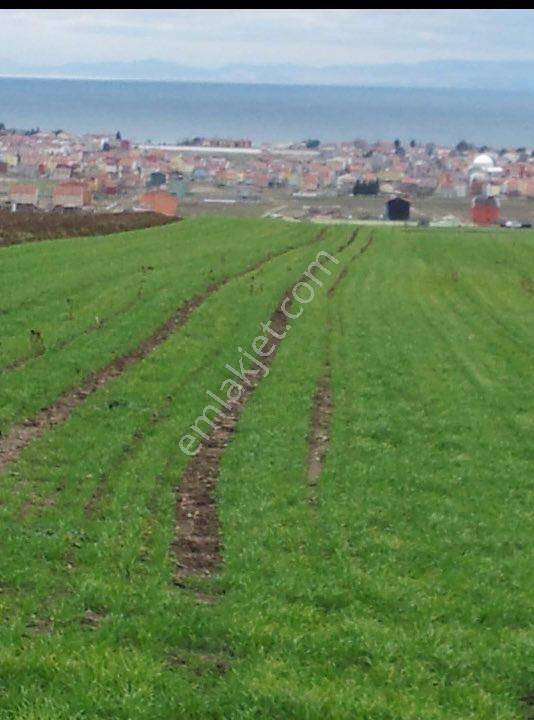 Yeniçiftlikte 62 Dönüm Deniz Manzaralı Yer - Görsel 2