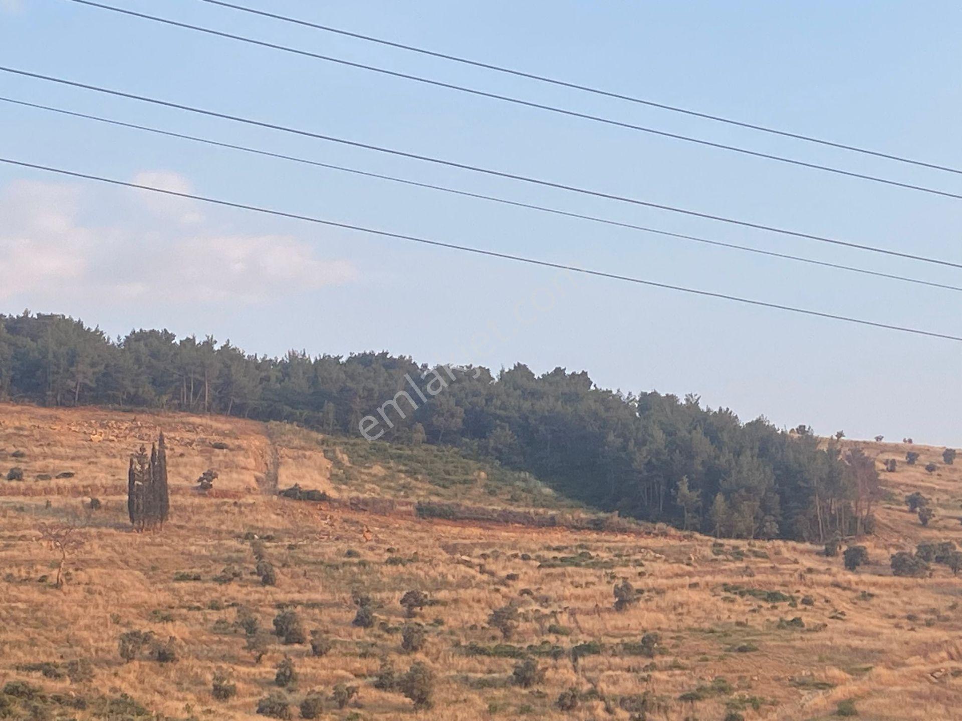İzmir Torbalı'da Satılık Arazi - Görsel 26