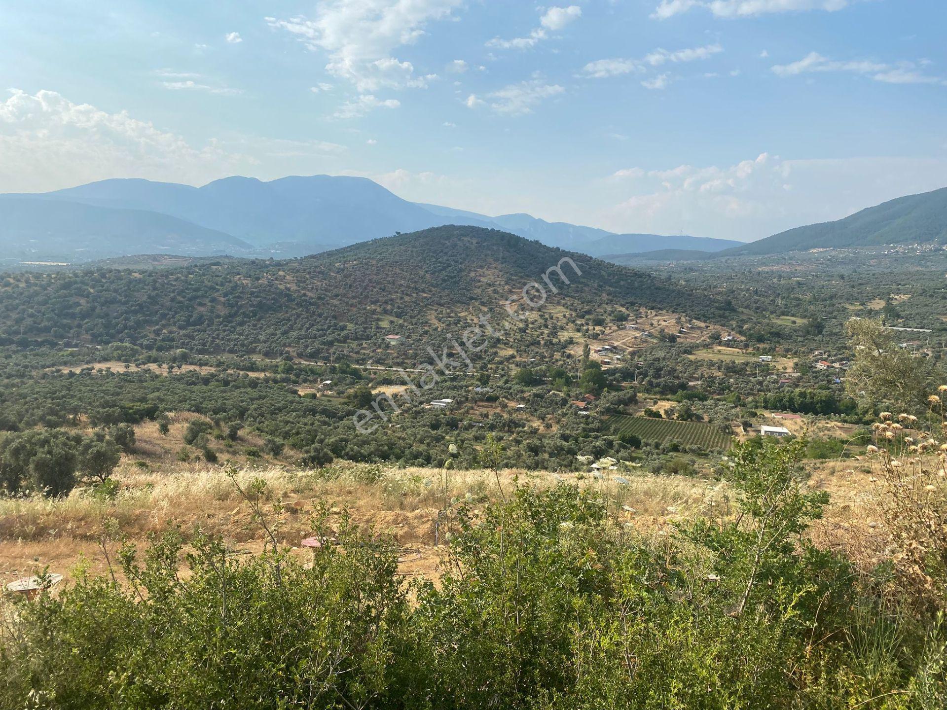 İzmir Torbalı'da Satılık Arazi - Görsel 24