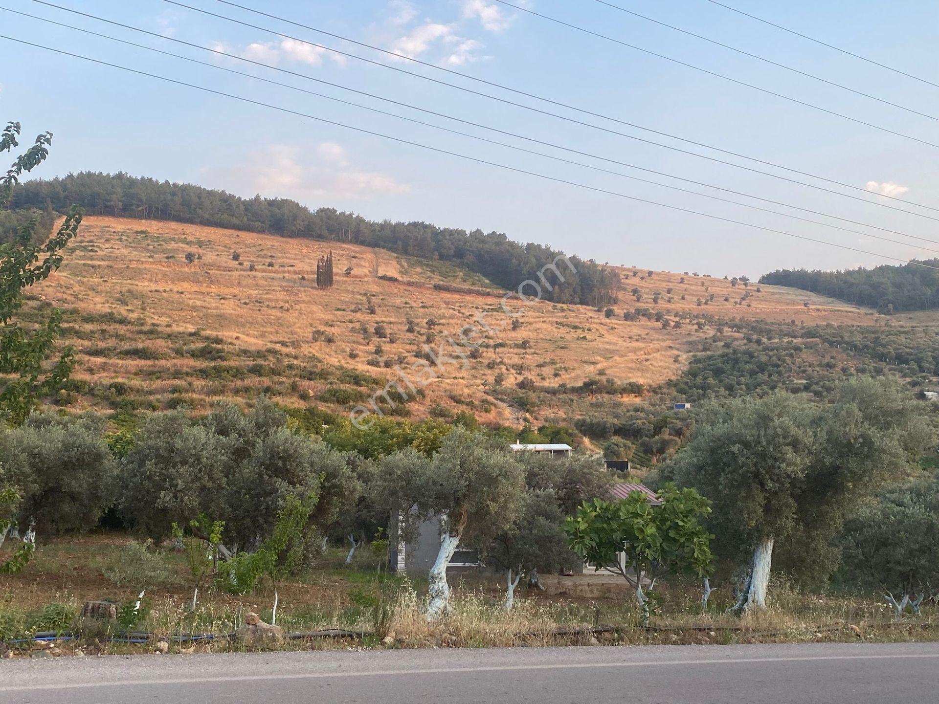İzmir Torbalı'da Satılık Arazi - Görsel 34