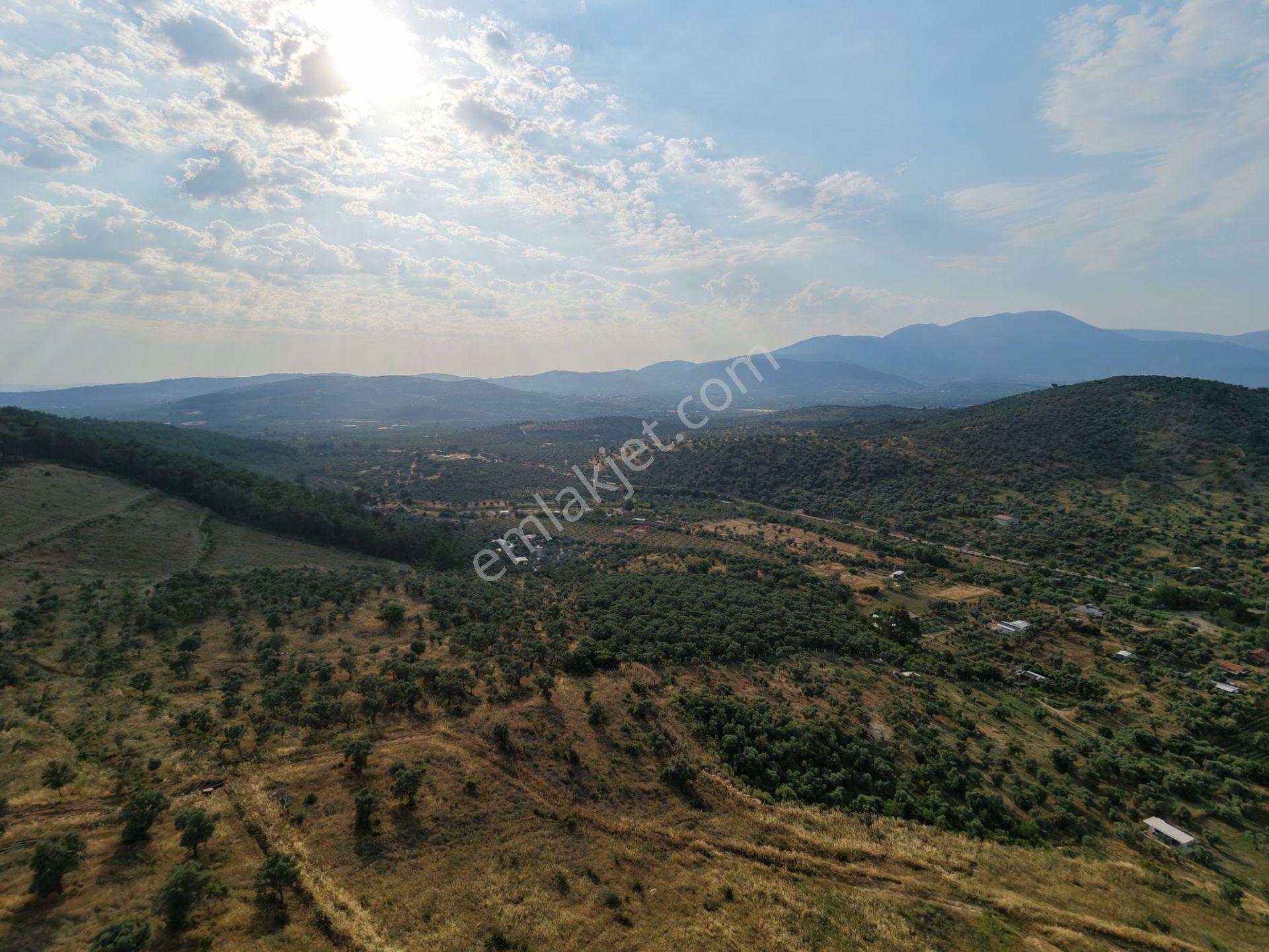 İzmir Torbalı'da Satılık Arazi - Görsel 27