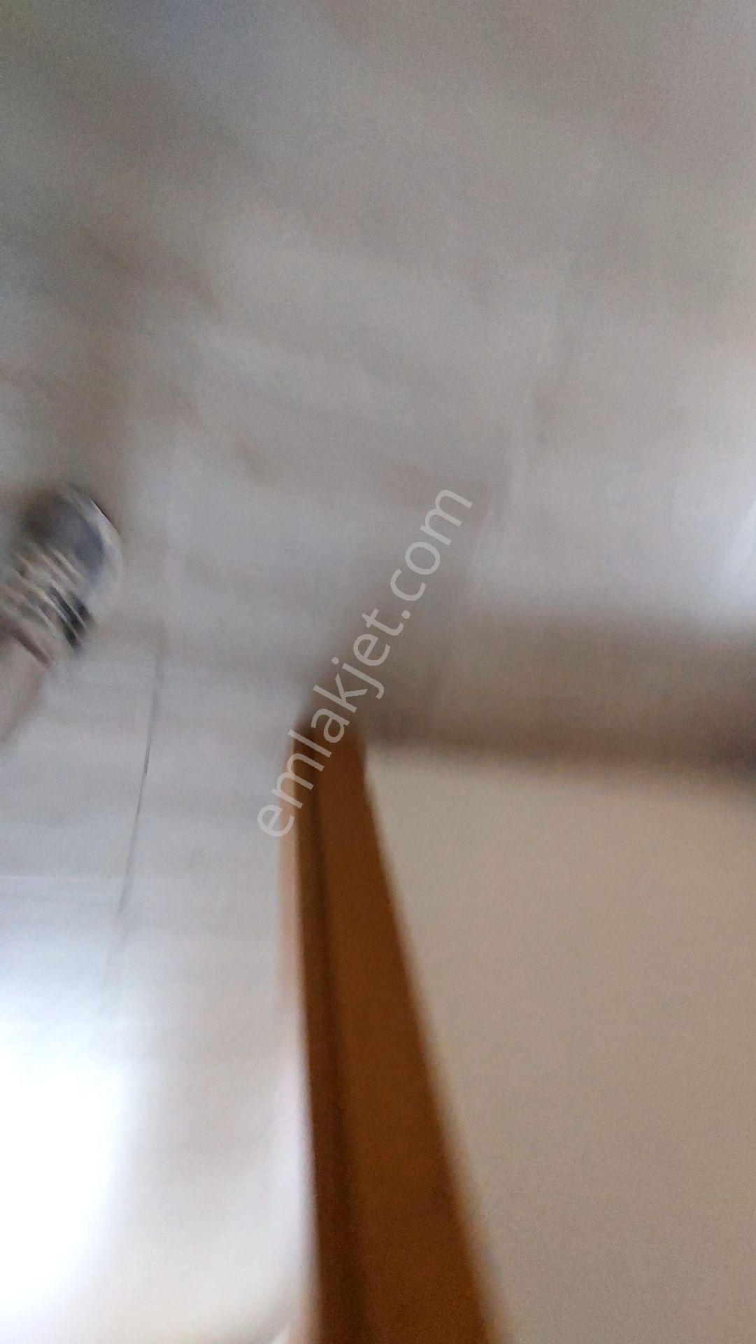 Sarıçam Yeşiltepe Mh.kozan Yoluna Yakın Bahçeli Müstakil - Görsel 22