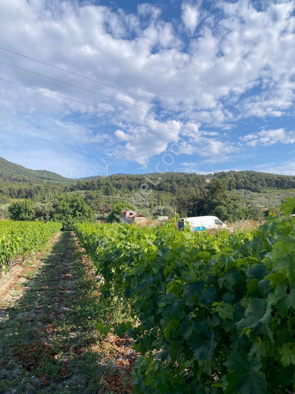 Kuşadası Kirazlı'da Fırsat!!!