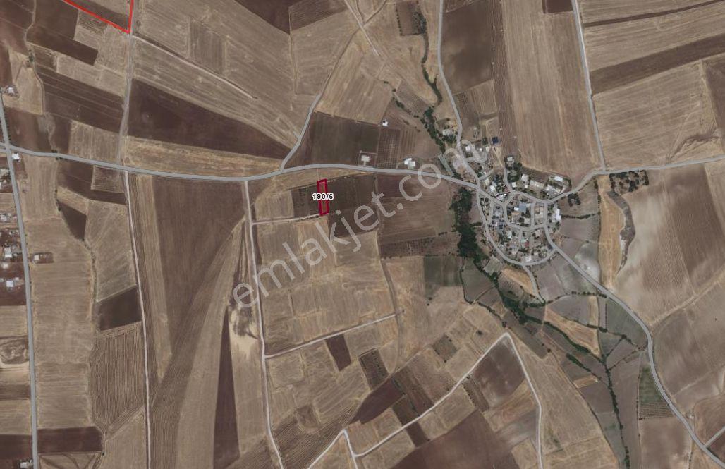 Adıyaman Başpınarda Acil Satılık 1.6 Dönüm Mükemmel Bağ - Görsel 3