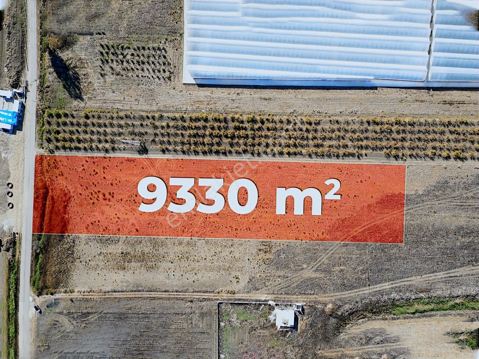 Serik/yukarıkocayatak Mh D 400- 9.330 M² Geleceğe Yatırım/tarla. - Görsel 2