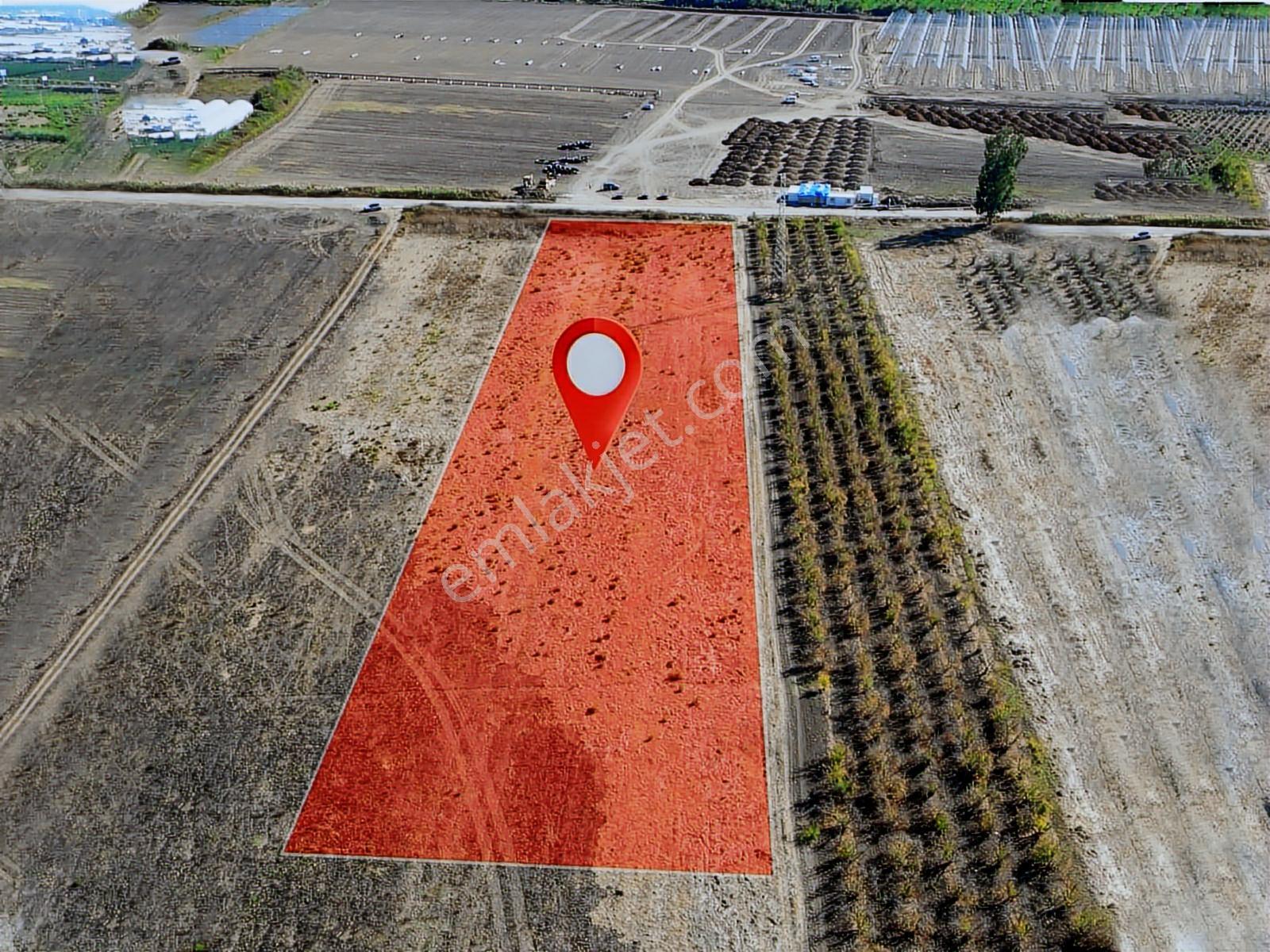 Serik/yukarıkocayatak Mh D 400- 9.330 M² Geleceğe Yatırım/tarla. - Görsel 4