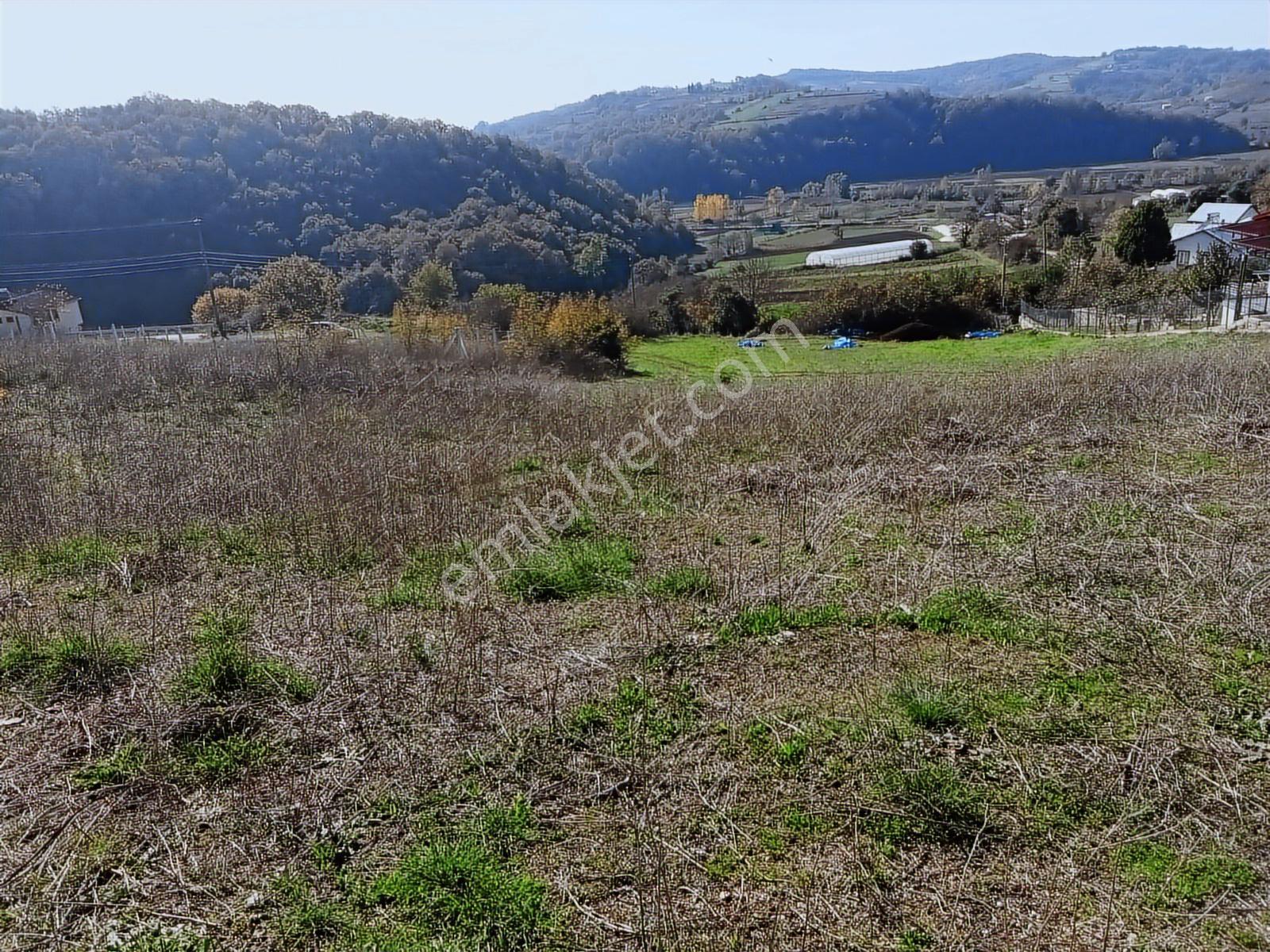 Kocaeli Kandıra Bozburunda Toplulaştırma Da Satılık 2033m2 Tarla - Görsel 14