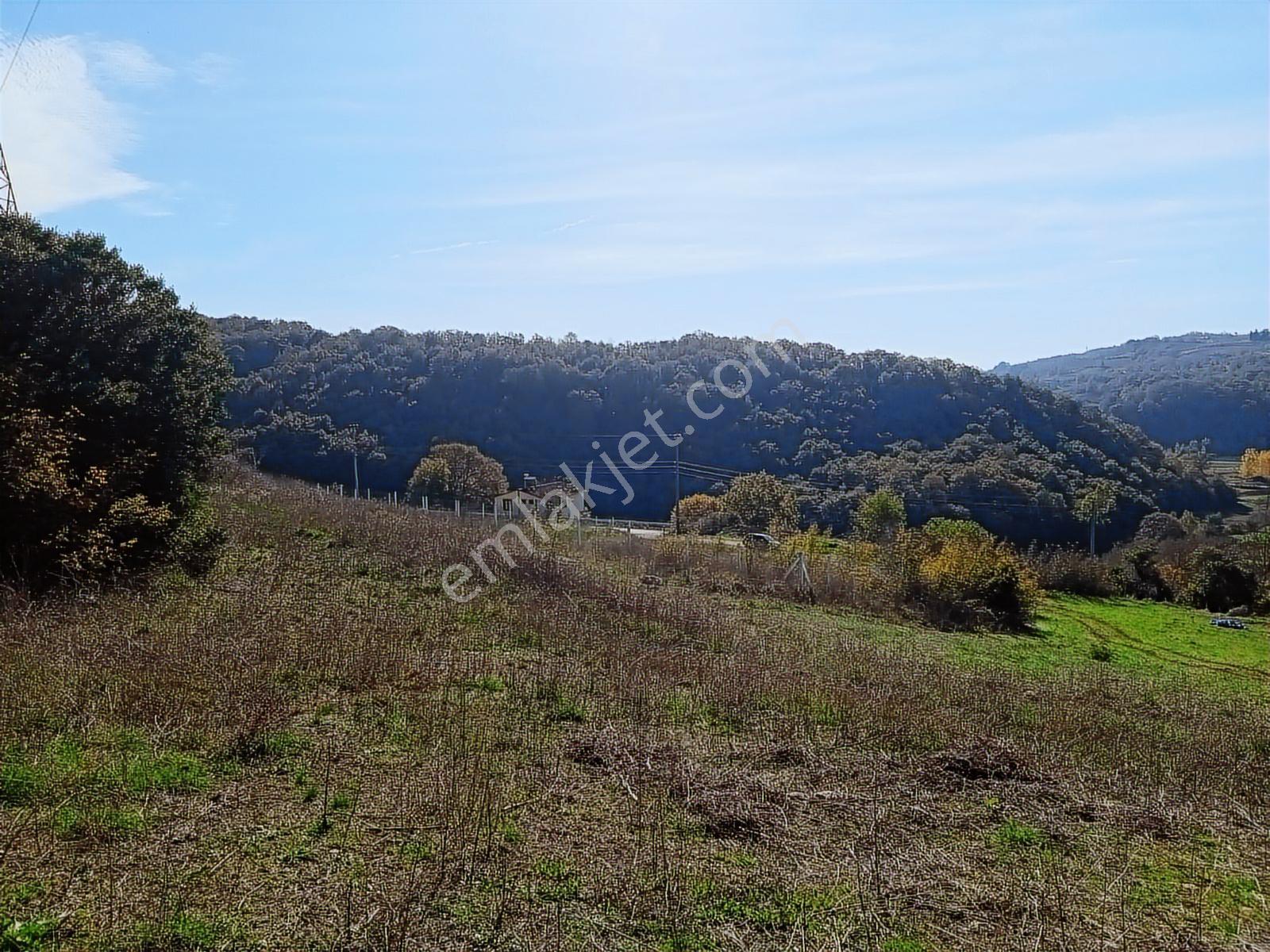 Kocaeli Kandıra Bozburunda Toplulaştırma Da Satılık 2033m2 Tarla - Görsel 16