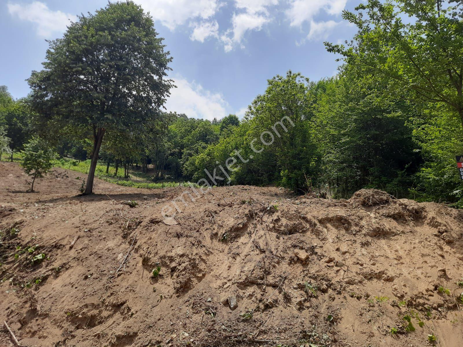 Dibektaş'ta Panoramik Göl Manzaralı 2667 M² Satılık Arsa - Görsel 4
