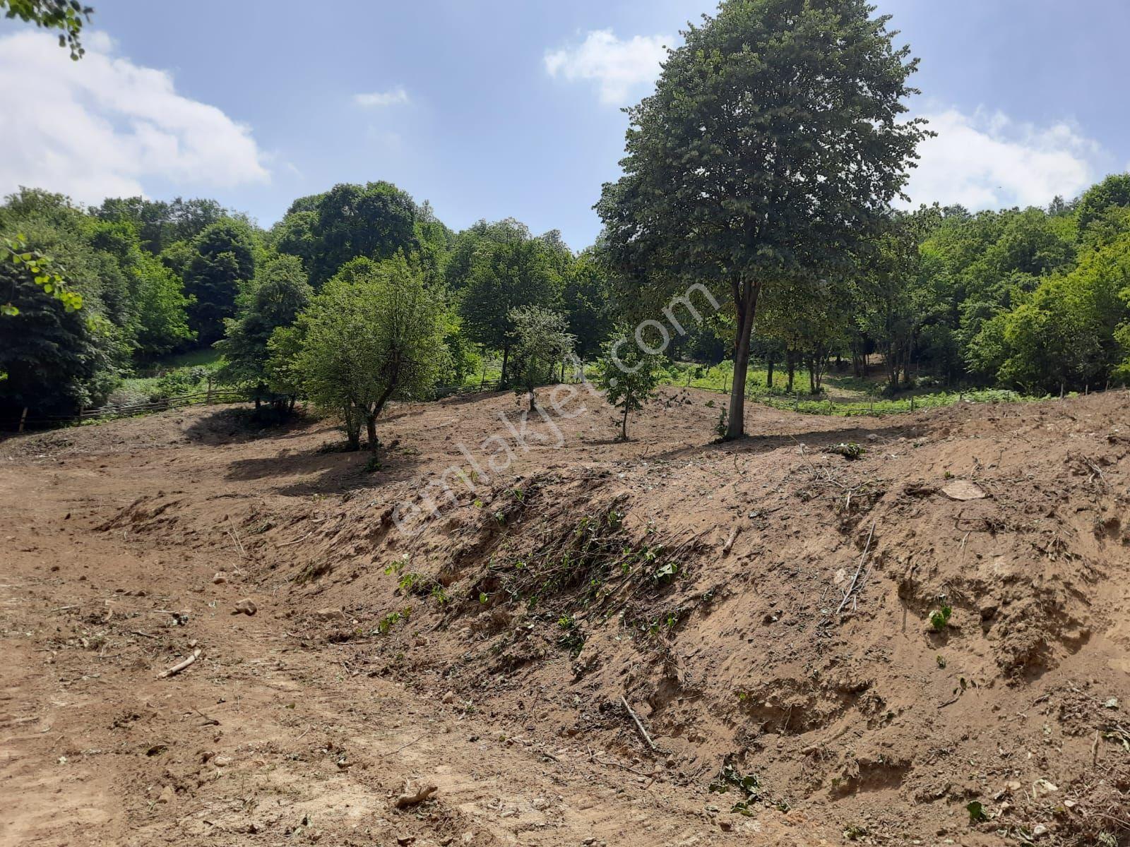 Dibektaş'ta Panoramik Göl Manzaralı 2667 M² Satılık Arsa - Görsel 10