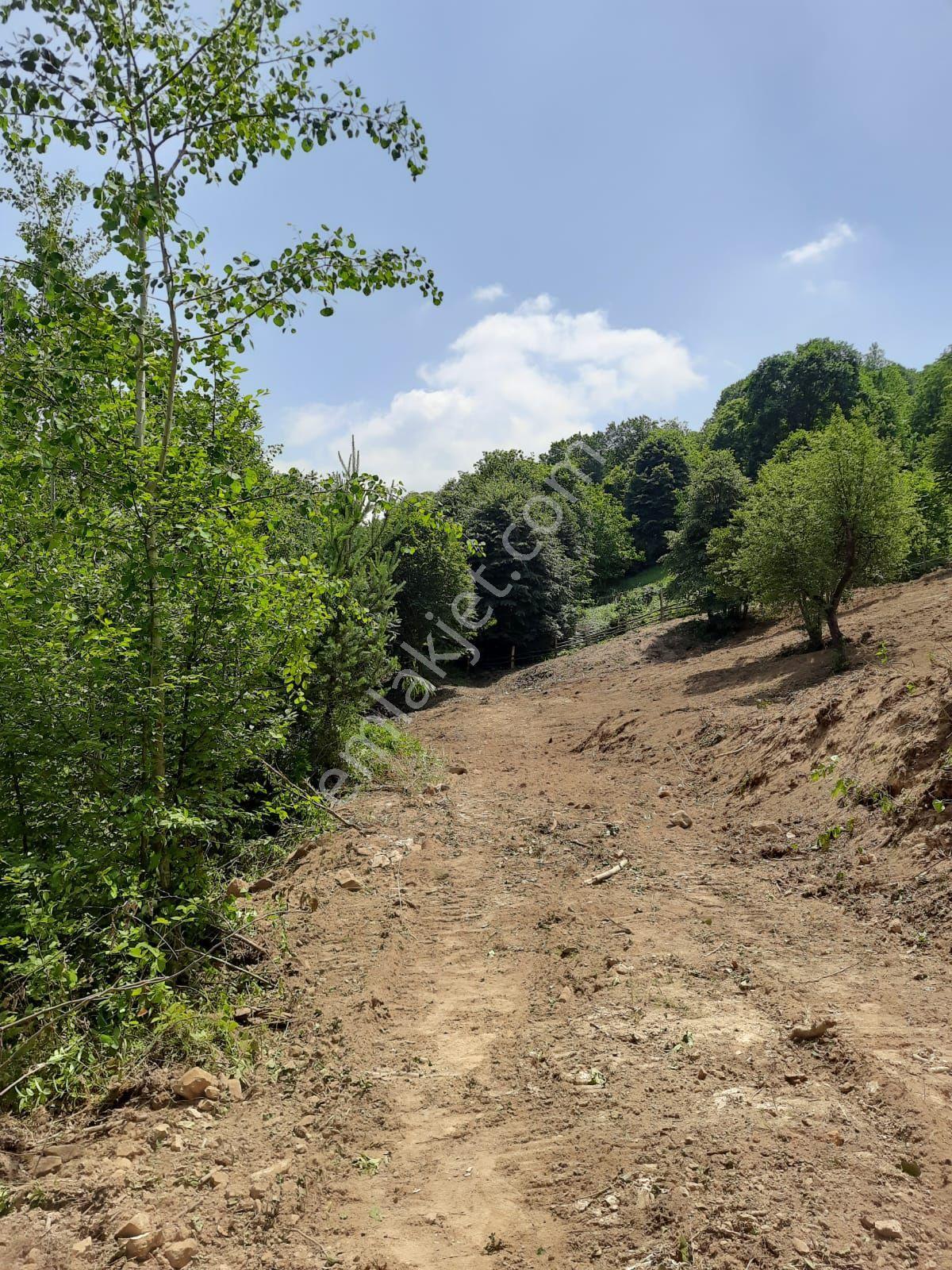 Dibektaş'ta Panoramik Göl Manzaralı 2667 M² Satılık Arsa