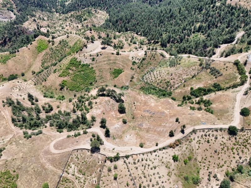 Cb'den Yenidemir'de Kullanım Alanı:(39.700 M2) Satılık Tarla - Görsel 11