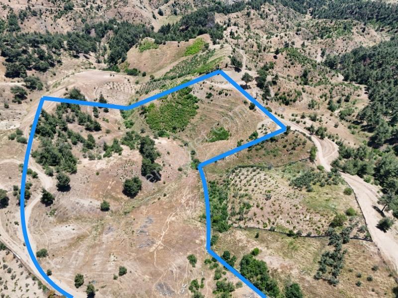 Cb'den Yenidemir'de Kullanım Alanı:(39.700 M2) Satılık Tarla - Görsel 8