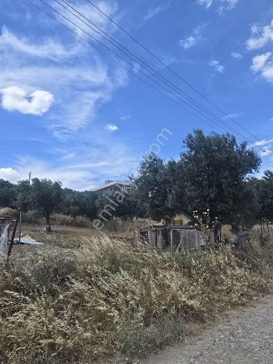 Bergama Villa Bölgesinde Satılık 320 M² Arsa - Görsel 3