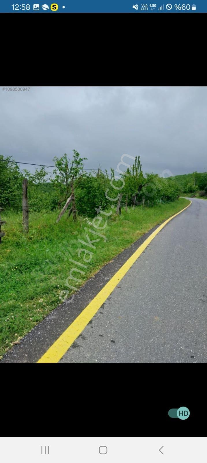 Yatırımlık Müstakil Yol Su Elektrekli Fındık Bahçesi - Görsel 3